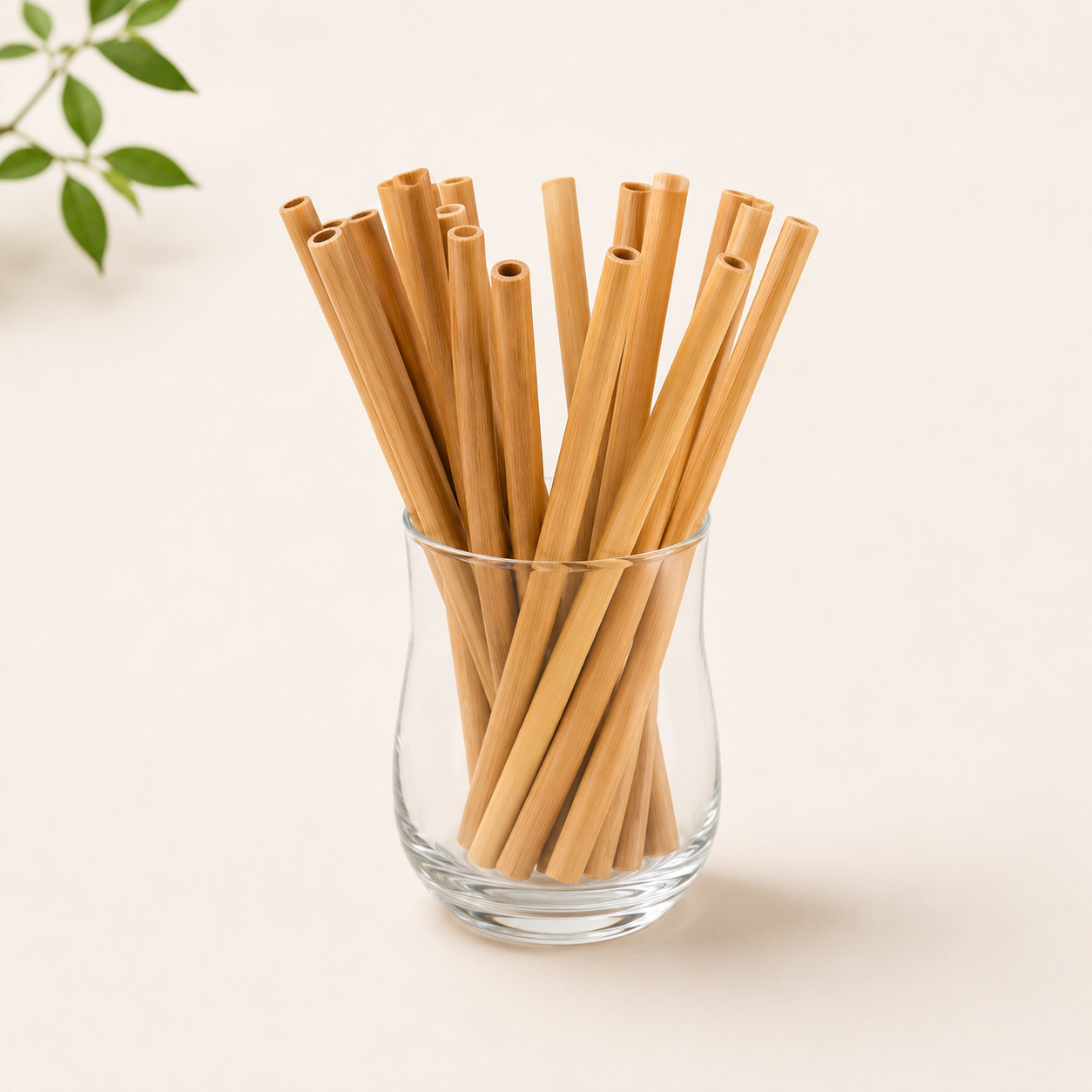 Bamboo Straw With A Cleaning Brush