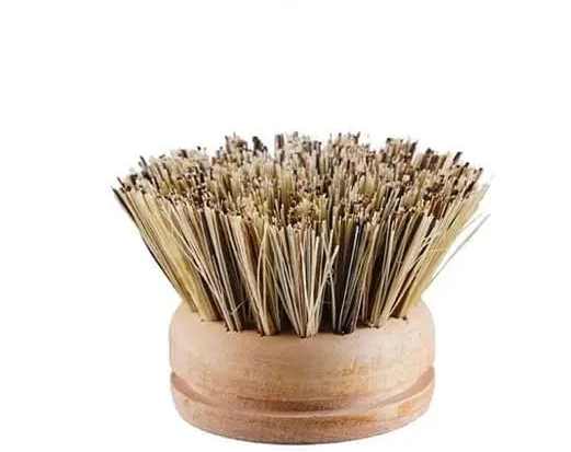 Coconut fiber brush head in a wooden holder with product size information on a white background.